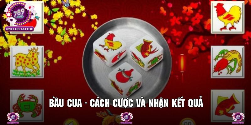 Tìm hiểu cách thức tham gia cược và nhận kết quả từ 789Club