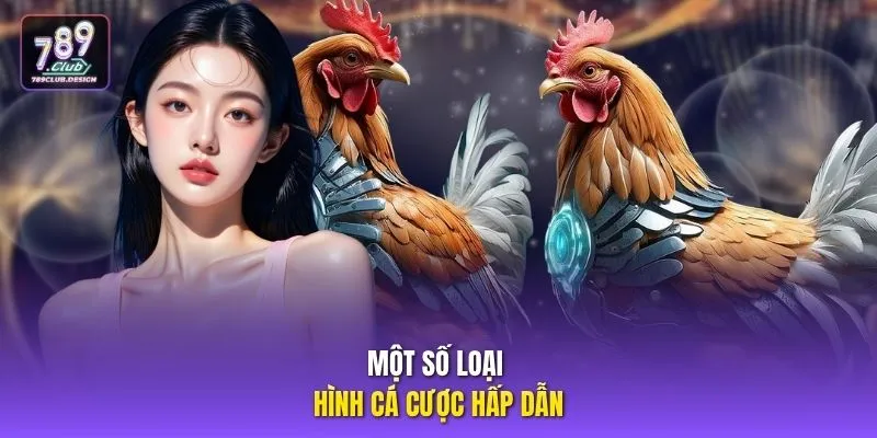 Một số loại hình cá cược hấp dẫn